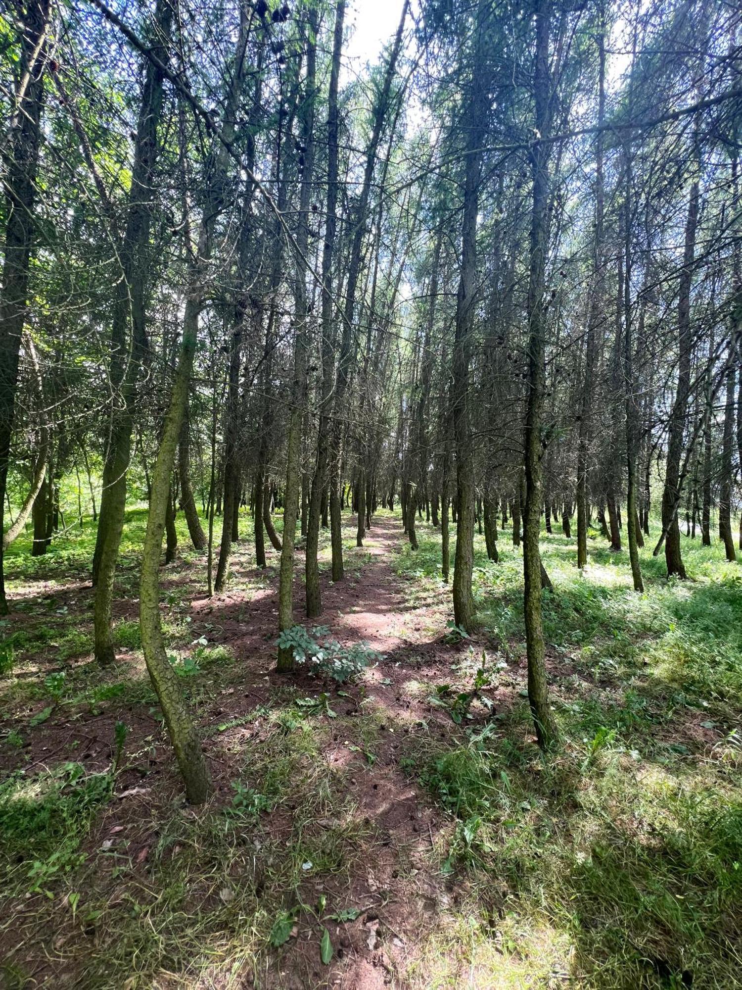 Apartament Podedworze Bochnia Kültér fotó